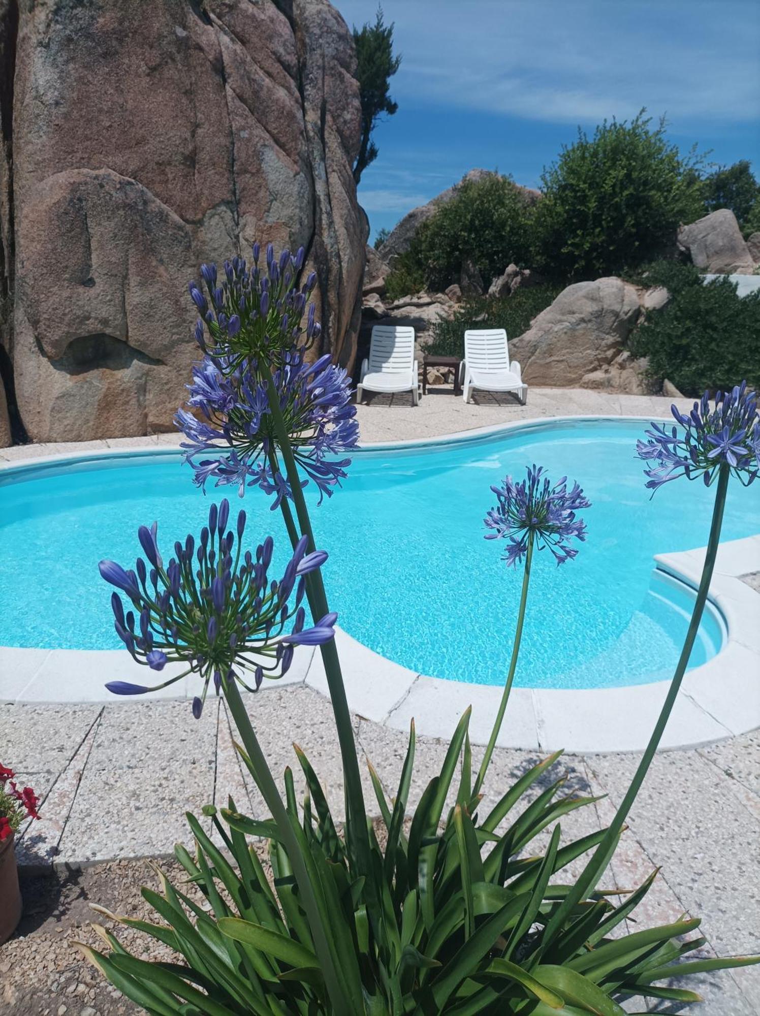 Villa Majore Beb Con Piscina Privata Rena Majore Bagian luar foto